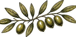 Levante olive branch emblem
